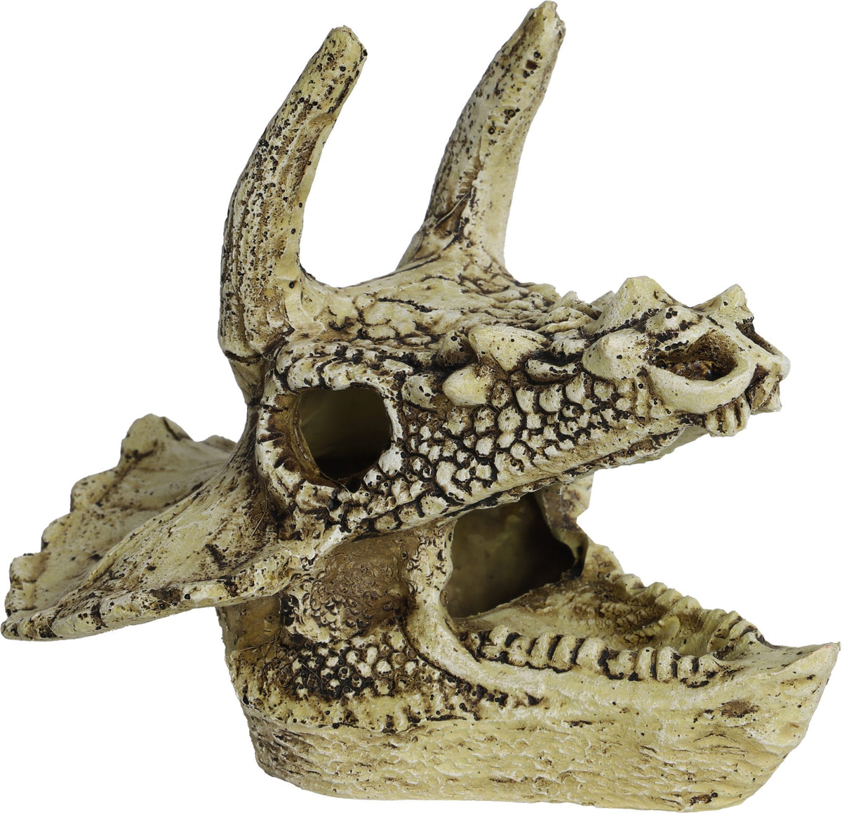 Boon aqua deco ornament schedel triceratops 15cm