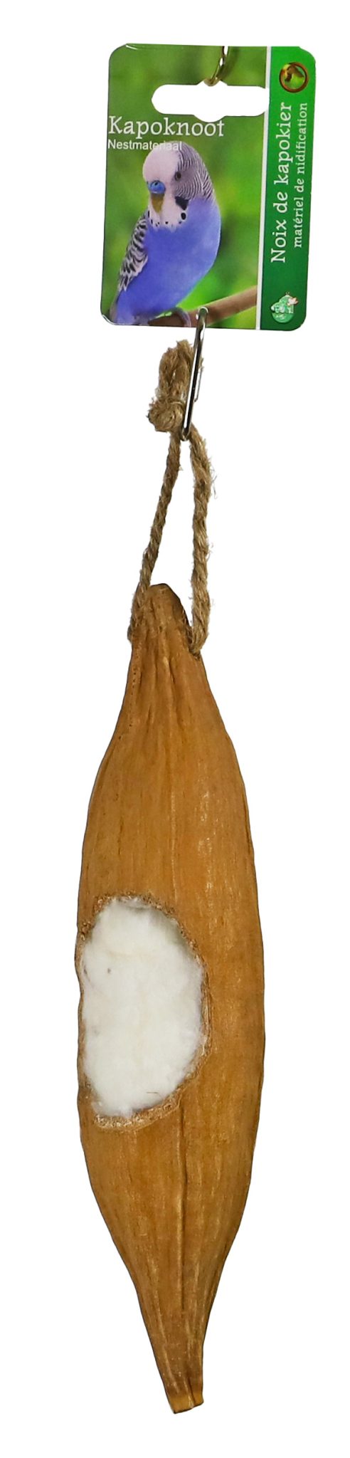 Boon kapoknoot