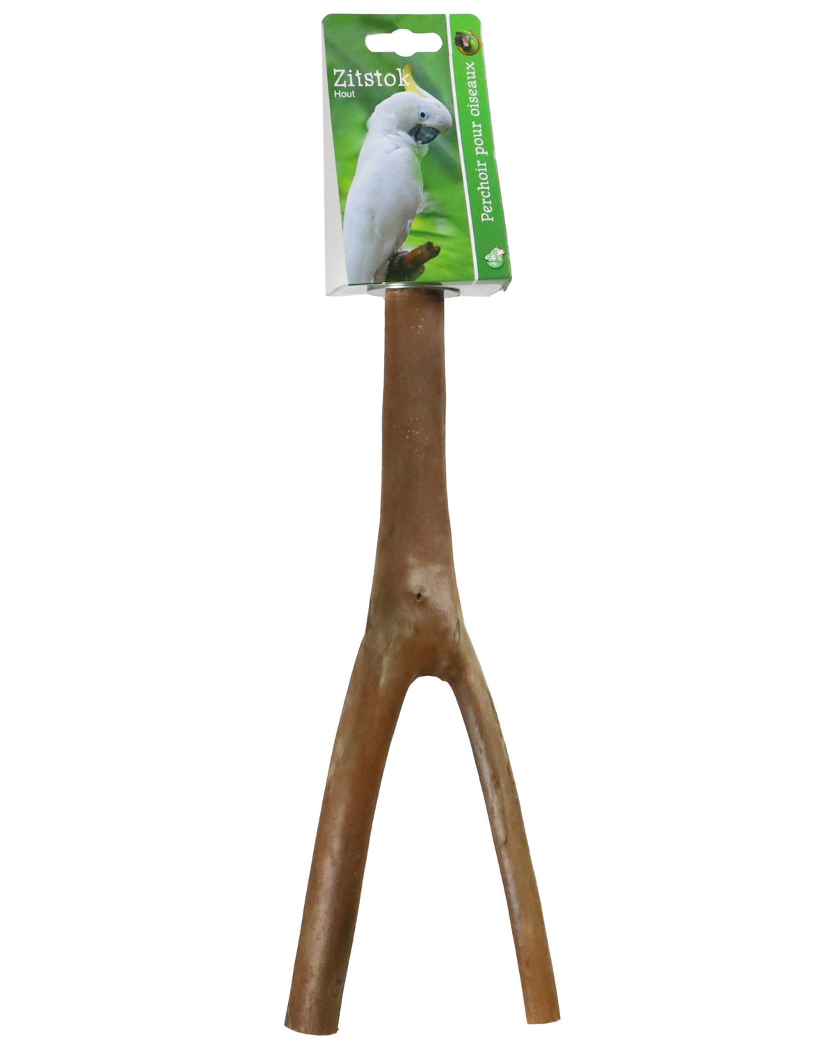 Boon zitstok hout vertakt + schroefdraad 30cm