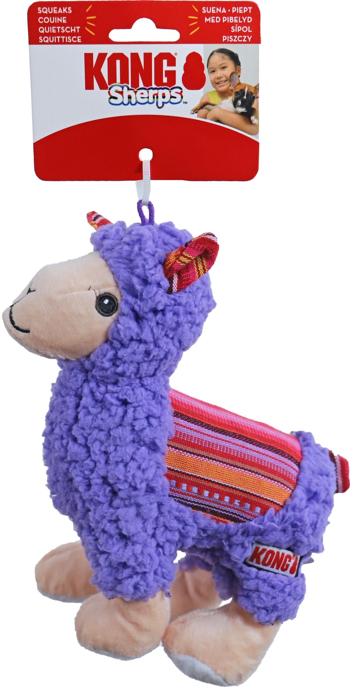 Kong hond Sherps lama, medium.