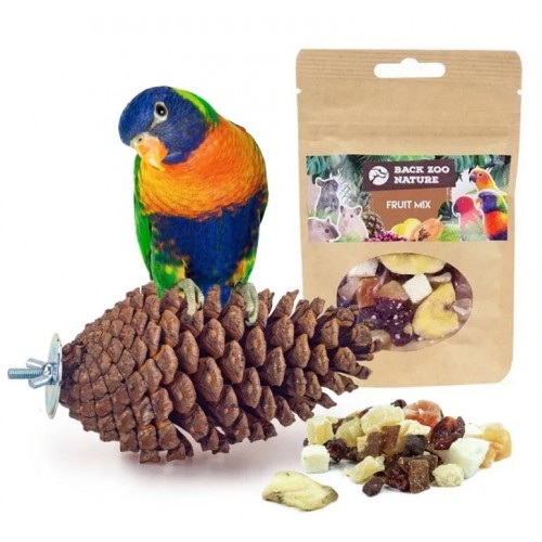 Back zoo nature foraging pine cone