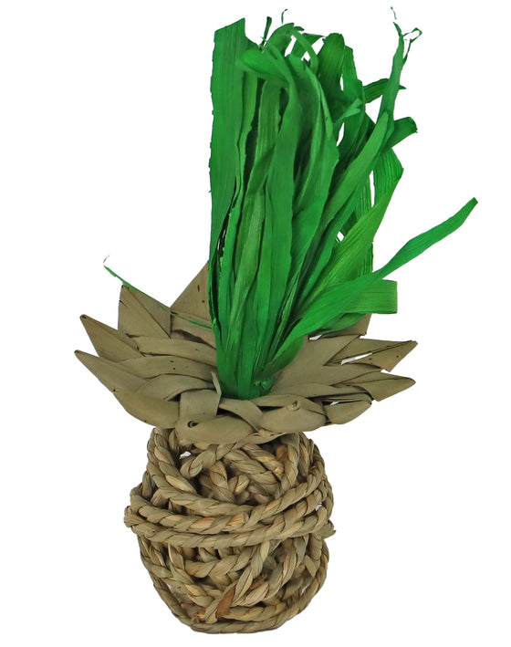 Boon knaag ananas zeegras 20cm
