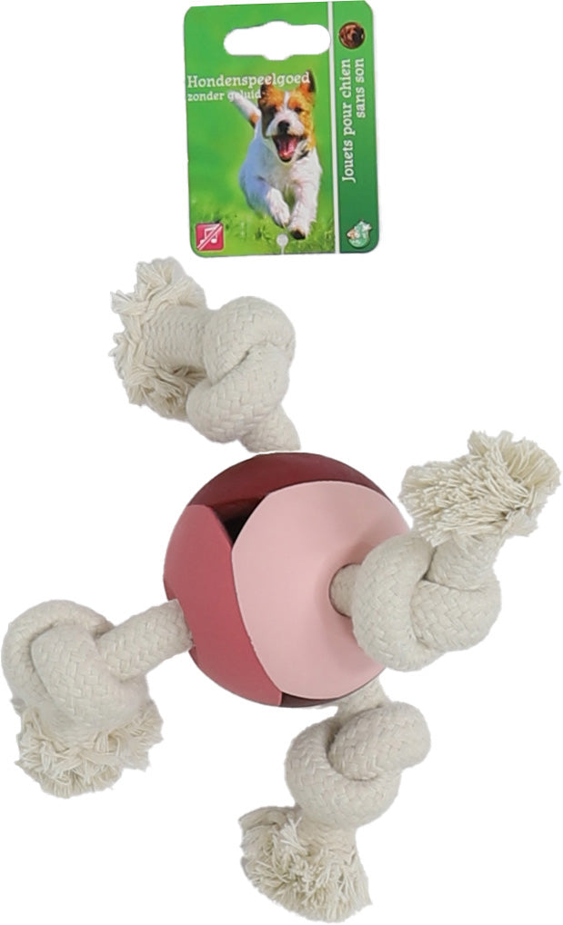 Boon hond speelgoed bal massief rubber roze 8cm + 2x flosstouw