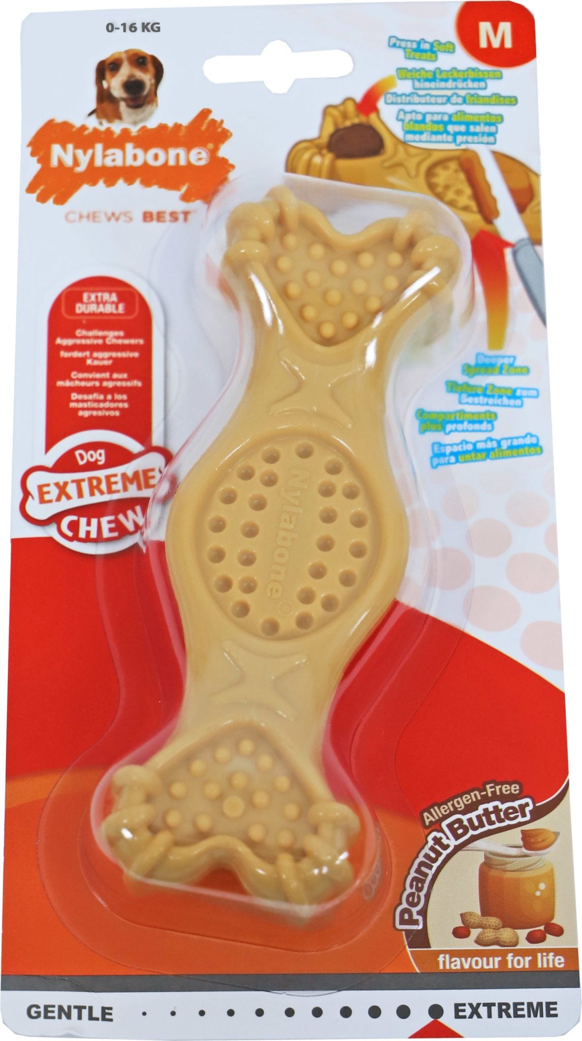 Nylabone Extreme Chew fill it and treat M, peanutbutter. (NLC203)