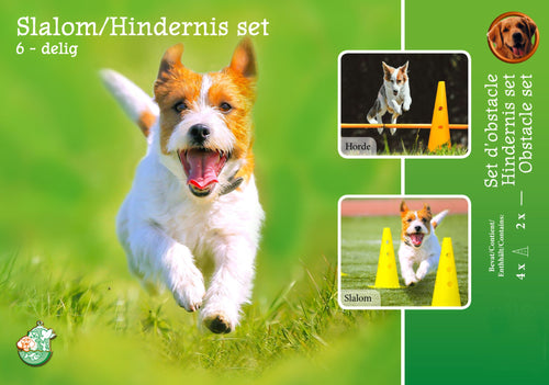 Agility slalom en hindernisset, 4x pilon en 2x ligger.