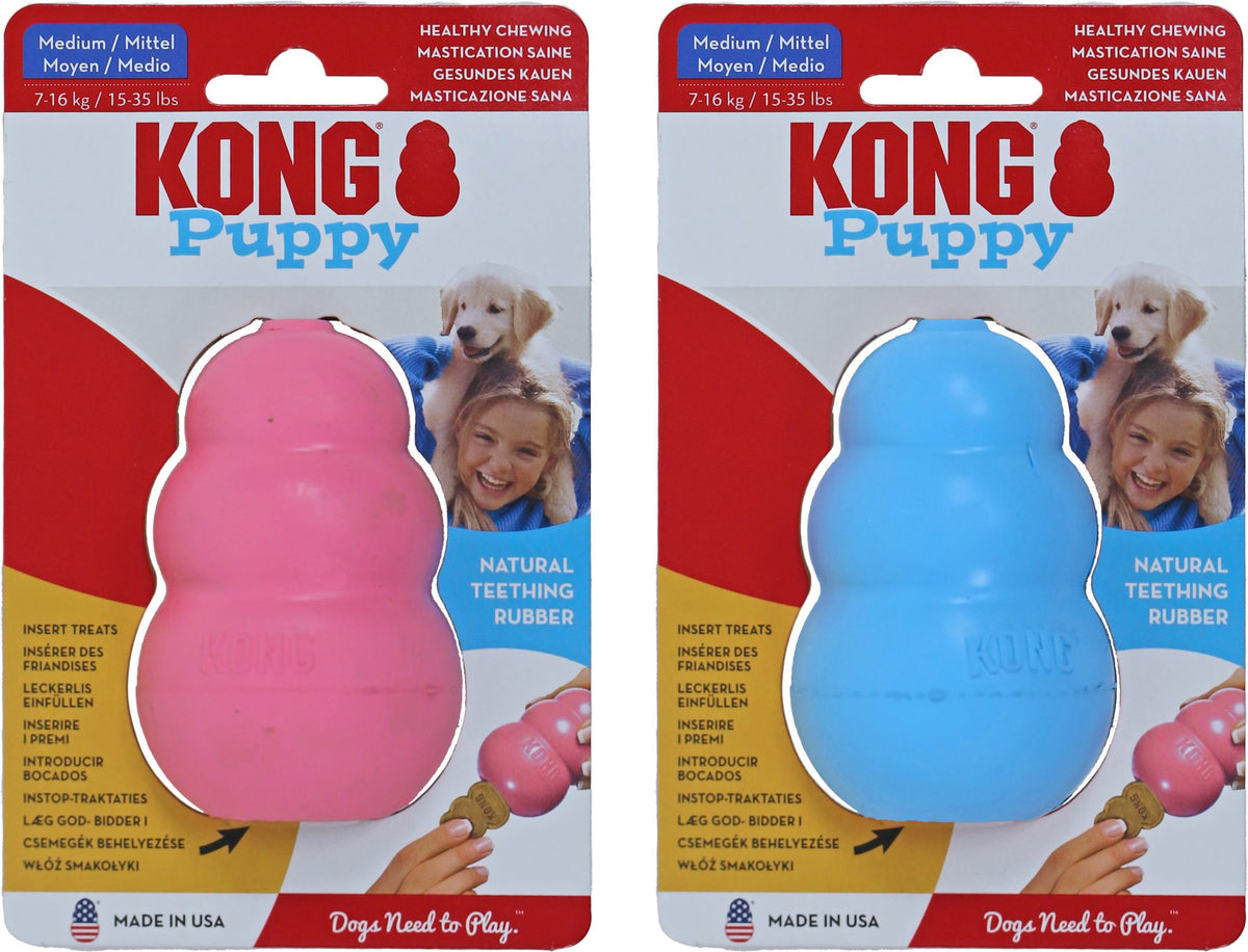 Kong hond Puppy, medium.