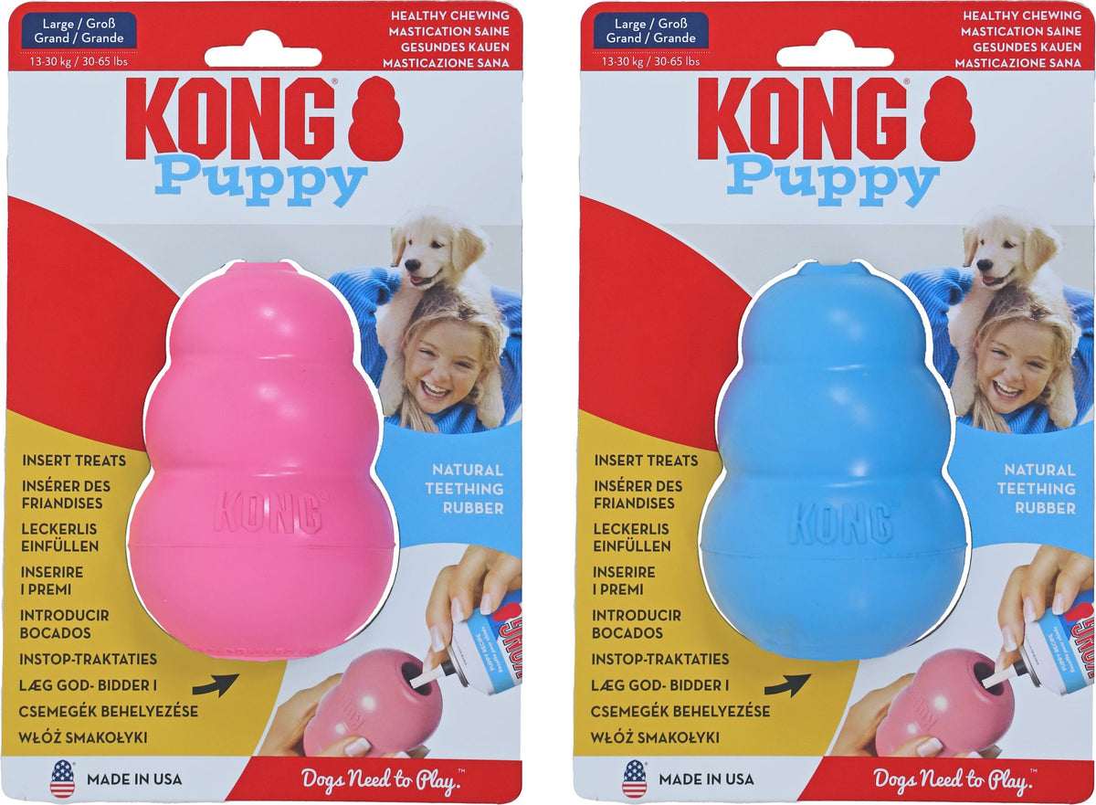 Kong hond Puppy, large.