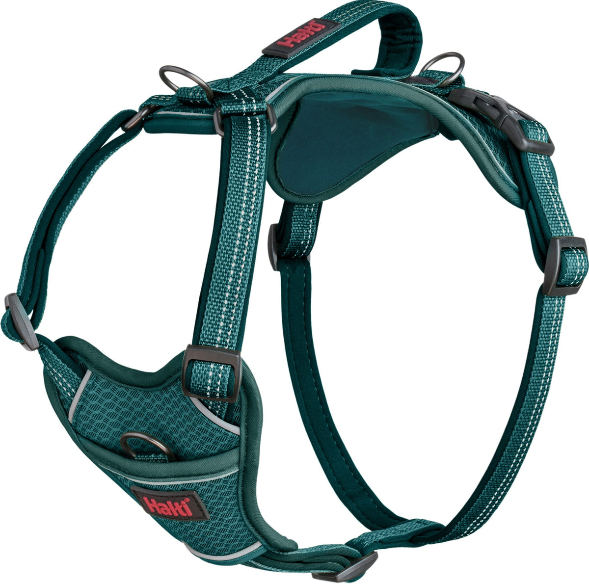 Company of animals harness anatomy halti teal s