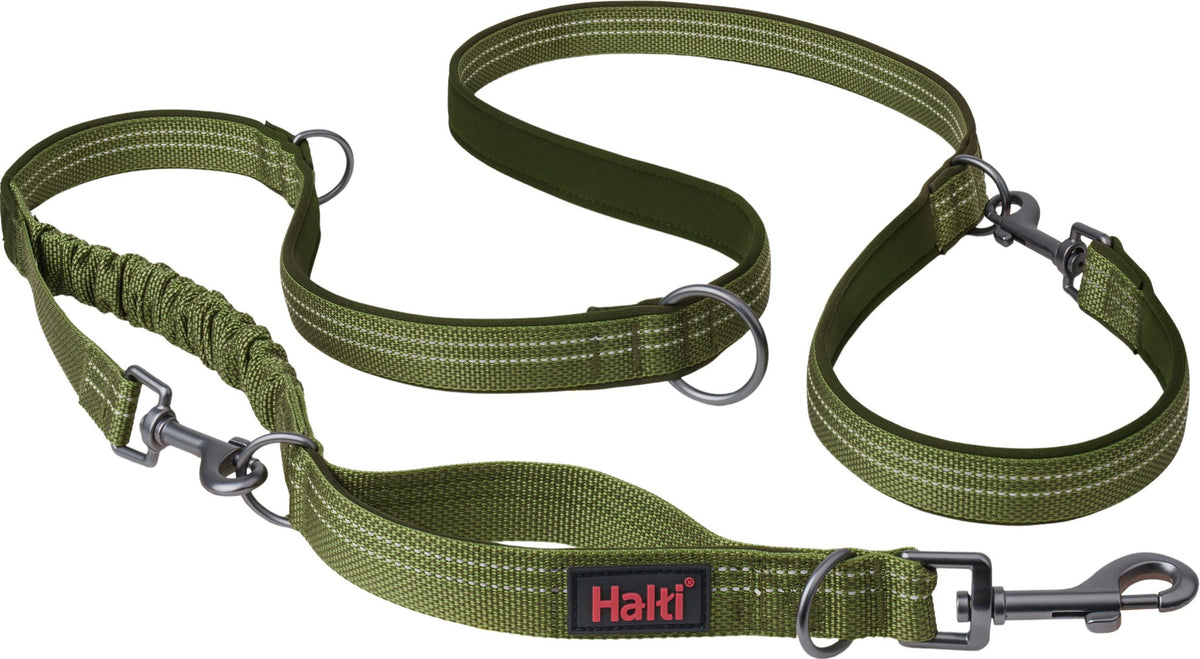 Company of animals multi lead anatomy halti green s
