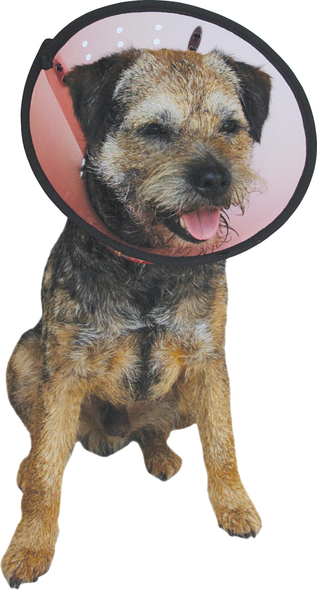 Smart collar nr. 2. (23-30 cm)
