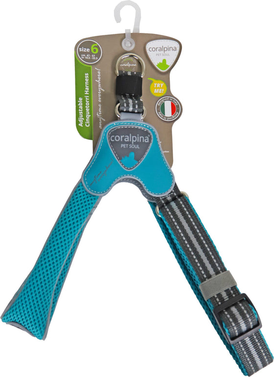 Coralpina harnas verstelbaar cinquetorri turquoise maat 6 c101tu060