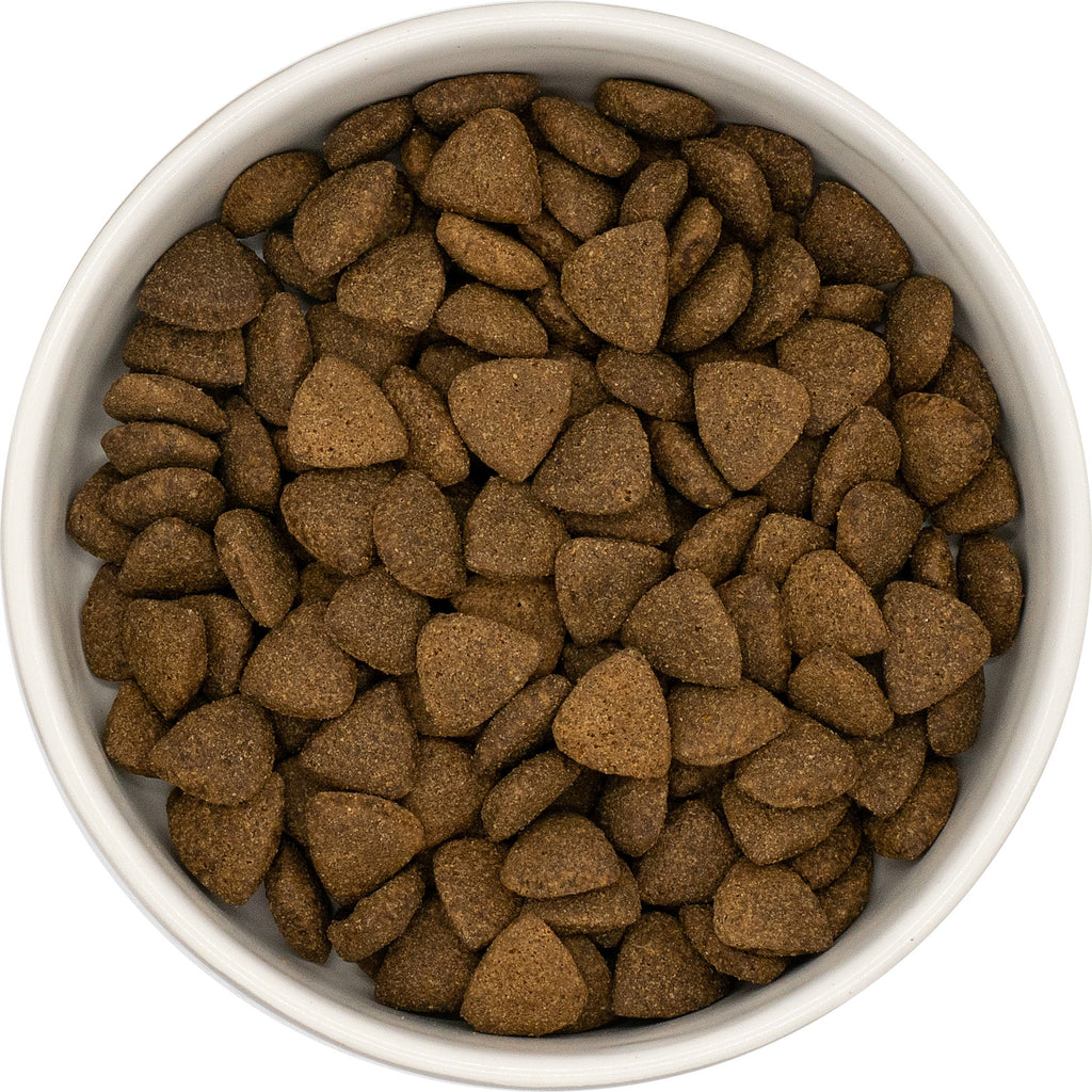 Jelka Angus Beef Hondenvoer – 65% Dierlijke Eiwitten