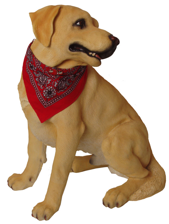 Boon Dog fashion halsband met zakdoek 35 cm, rood.