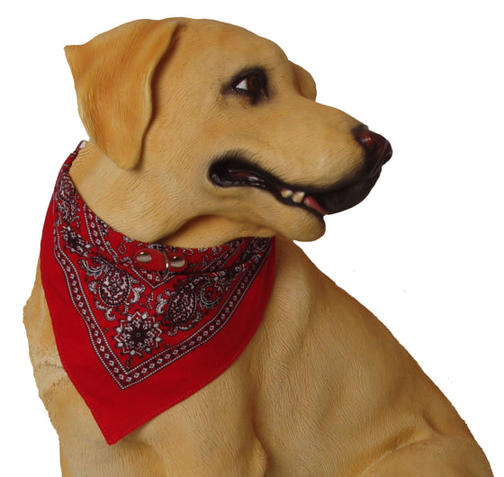 Boon Dog fashion halsband met zakdoek 40 cm, rood.