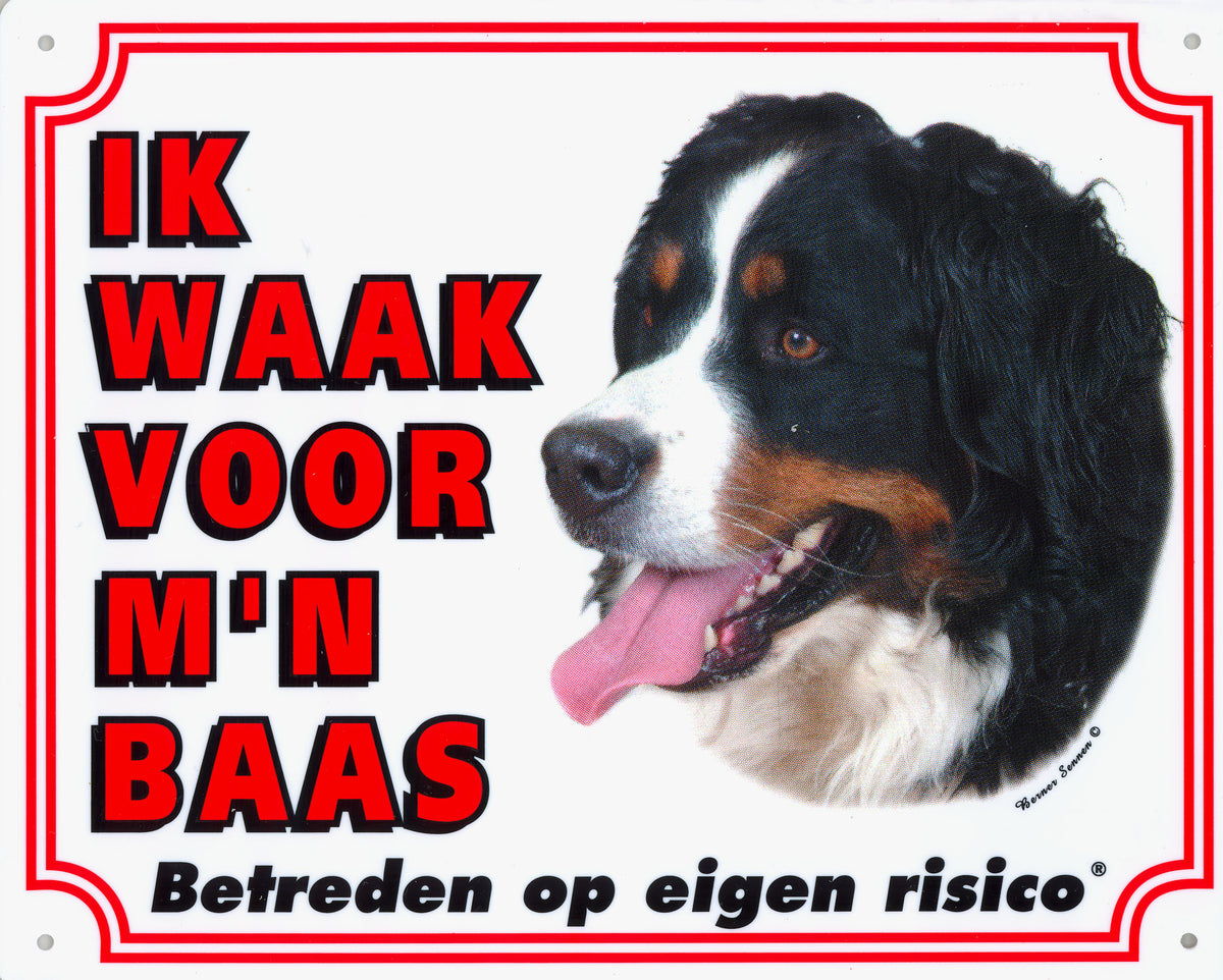 Waakbord groot in kleur, Berner Senner.