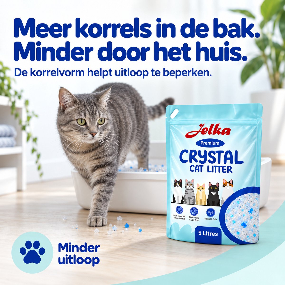 Grijze cyperse kat in een kattenbak met Jelka Crystal Cat Litter. Een pak Jelka staat ernaast.